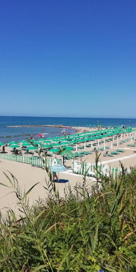 Villa Giuliana Stanze Con Bagno Interno In Villa A 350 Mt Spiaggia Libera Lido Delle Sirene Anzio Exterior foto